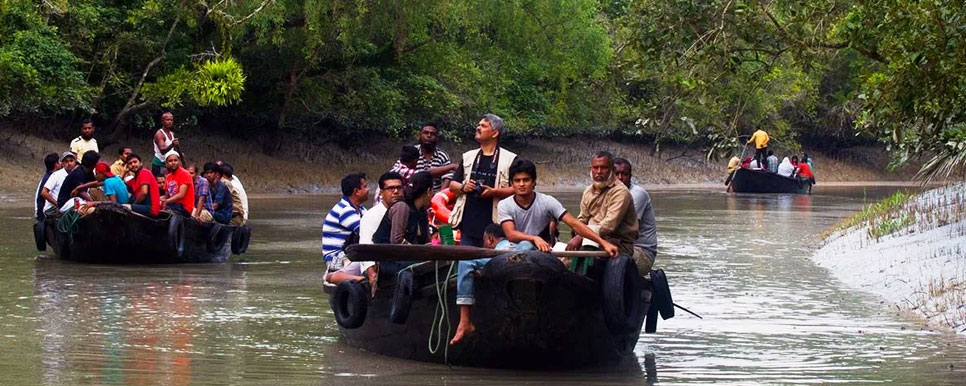 boat safari sunderbans