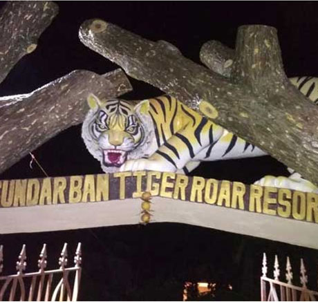 tiger roar hotel